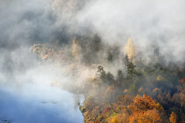 Coloridas colinas boscosas cubiertas de niebla en otoño. Sigulda, Letonia — Foto de Stock