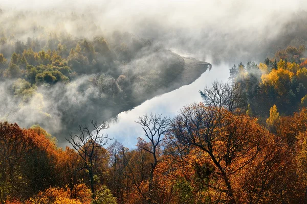 Colorful forest hills covered with mist in Autumn. Sigulda, Latvia — Stock Photo, Image