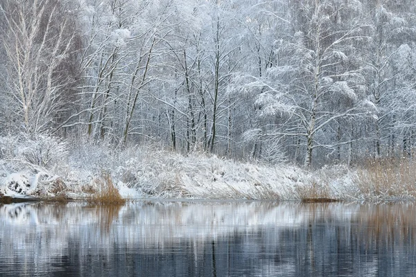 Beau paysage lacustre d'hiver en Lettonie — Photo