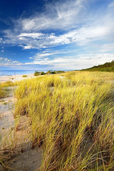Балтийский пляж на закате — стоковое фото