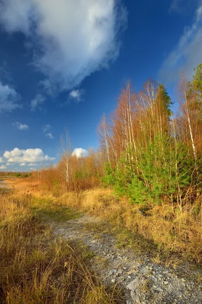 Autumn landscape against blue sky — Stock Photo, Image