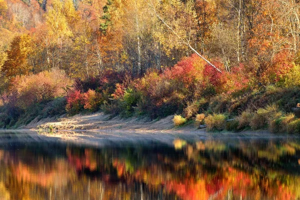 秋の川ガウヤ スィグルダ、ラトビア。反射のある風景します。 — ストック写真
