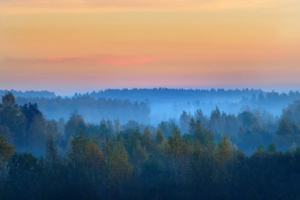 Feld am Morgen während der Herbstsaison — Stockfoto