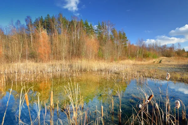 Paisaje del lago de otoño contra el cielo azul —  Fotos de Stock
