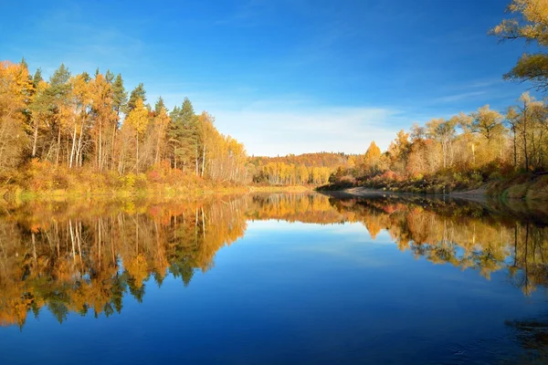 Herfst rivier gauja in sigulda, Letland. landschap met reflectie — Stockfoto