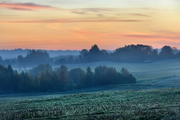 Fältet på morgonen under höstsäsongen — Stockfoto