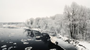 Orman bataklık peyzaj ilk kar