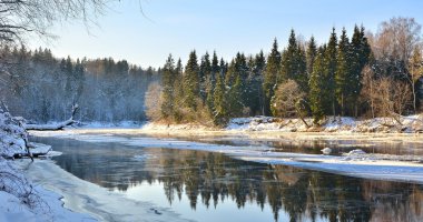 gauja Nehri vadisinde kış manzarası. Sigulda, Letonya