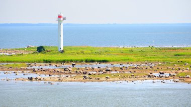 Mavi denizi kayalık adanın beyaz deniz feneri