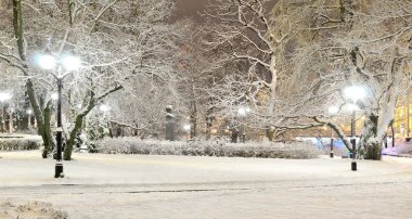 riga park ağaçlarda gece kar