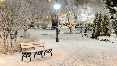 riga park ağaçlarda gece kar