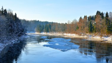 gauja Nehri vadisinde kış manzarası. Sigulda, Letonya