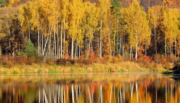 Jesień rzeki gauja w sigulda, Łotwa. krajobraz z odbiciem — Zdjęcie stockowe