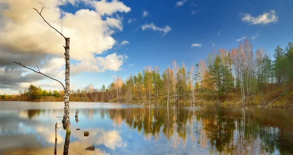 Outono lago paisagem contra o céu azul — Fotografia de Stock