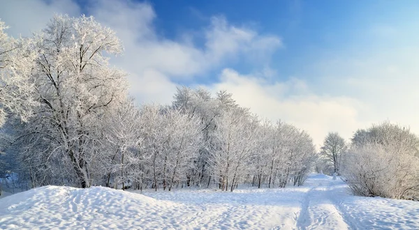 Vinter scen: väg och skogen med rimfrost på träden — Stockfoto
