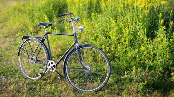 農村地域におけるフィールド上の古いオランダ レトロな自転車. — ストック写真