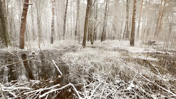 Linda paisagem lago de inverno na Letónia — Fotografia de Stock