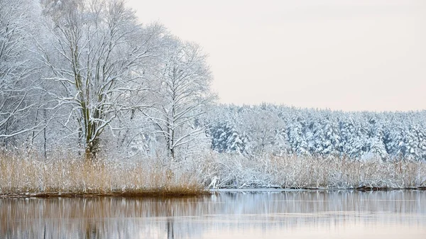 Jezero krásné zimní krajiny v Lotyšsku — Stock fotografie