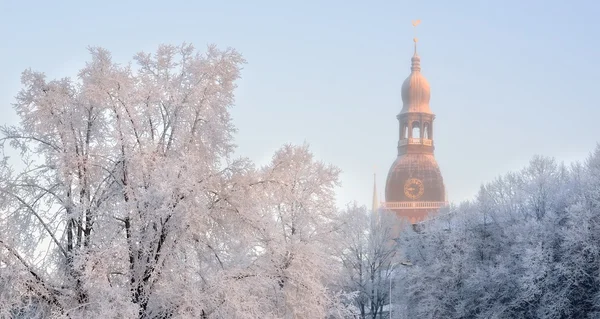 Dome church in Riga and hoar frost on trees by morning, Latvia — Stock Photo, Image