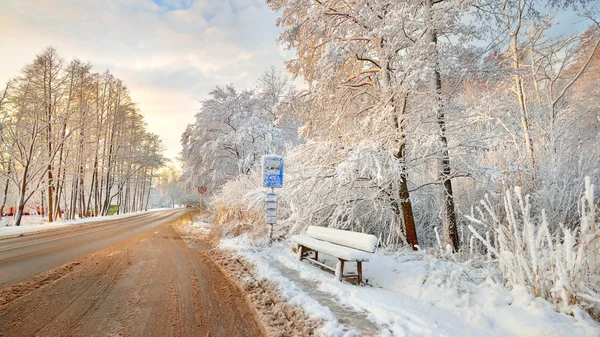 Straße und schneebedeckter Baum in Lettland — Stockfoto
