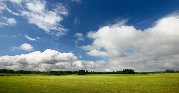 Green field against blue sky and clouds — Stock Photo, Image
