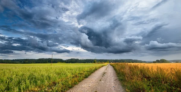 暗い嵐の雲に対して道および穀物のフィールド — ストック写真