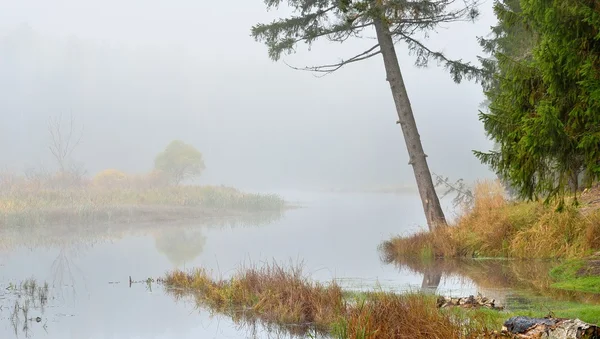Otoño río escena en fuerte niebla — Foto de Stock