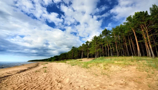 Costa del mar Báltico en Letonia — Foto de Stock