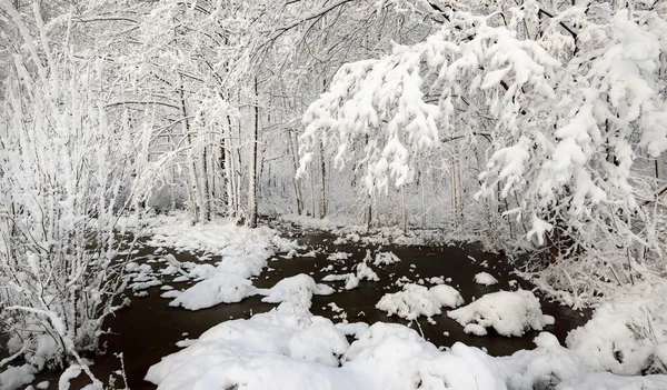 Beau paysage lacustre d'hiver en Lettonie — Photo