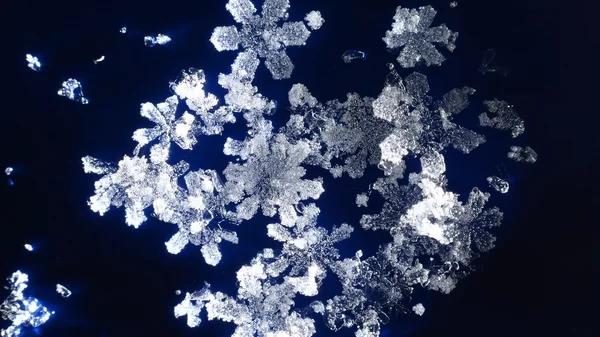 Snowflakes on dark blue background — Stock Photo, Image
