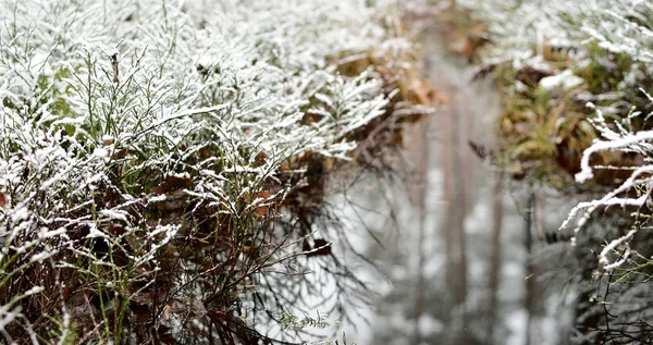 Tó gyönyörű téli táj, Lettország — Stock Fotó