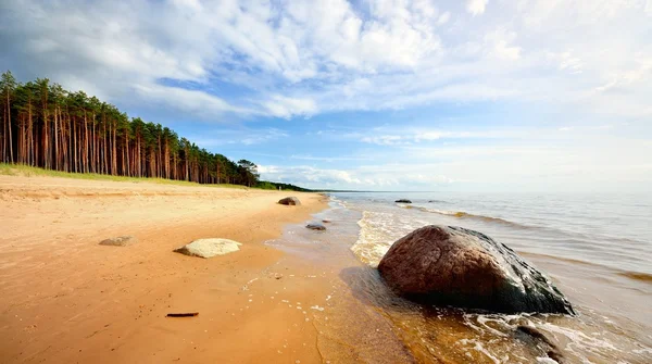 Östersjöns strand i Lettland — Stockfoto