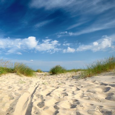 Baltic sea shore sandy beach clipart