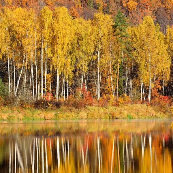 Autumn river Gauja in Sigulda — Stock Photo, Image