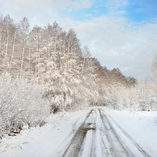 Дорога в сельской местности в солнечный зимний день — стоковое фото