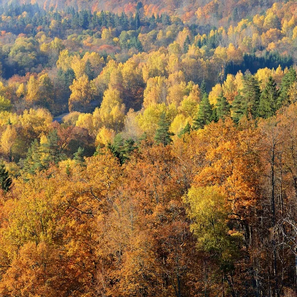 Kolorowe wzgórza lasu jesienią. — Zdjęcie stockowe
