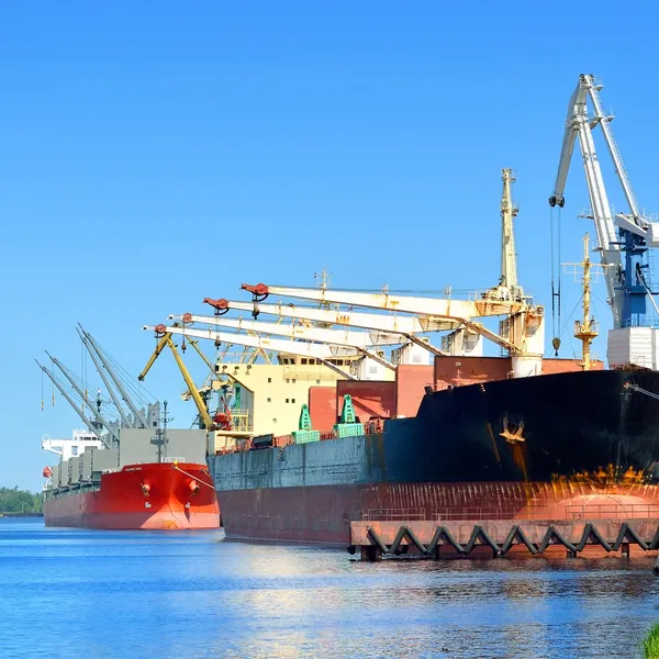 Cargo ships loading — Stock Photo, Image