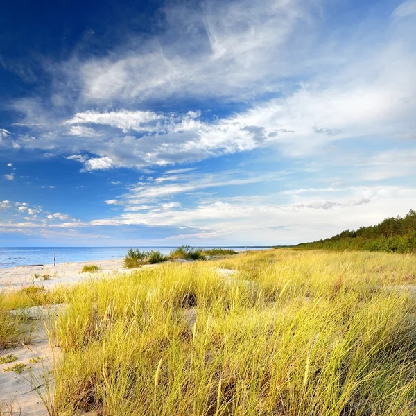 Brzegu piaszczystej plaży nad Morzem Bałtyckim — Zdjęcie stockowe