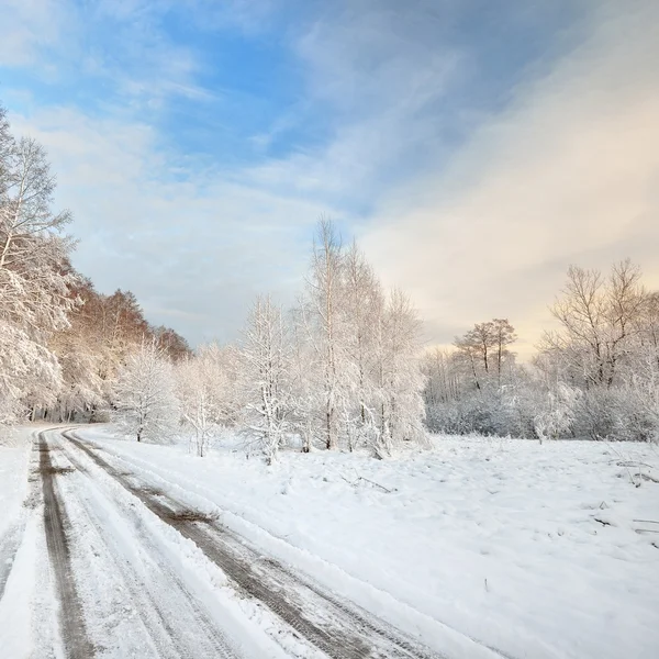 Estrada em um campo no dia de inverno ensolarado — Fotografia de Stock