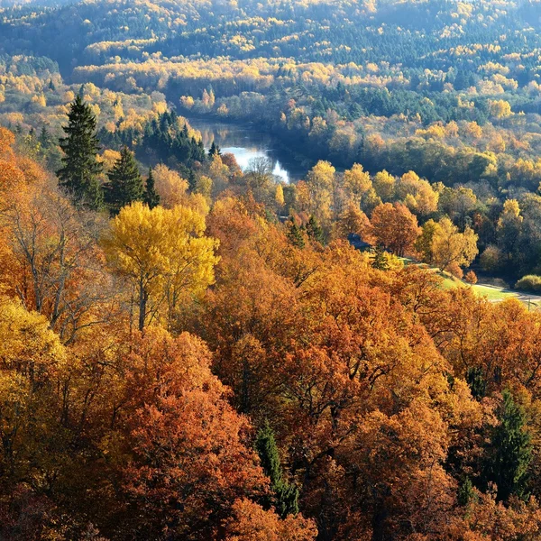 Kolorowe wzgórza lasu jesienią. — Zdjęcie stockowe