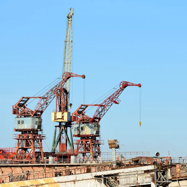 Port cargo cranes — Stockfoto