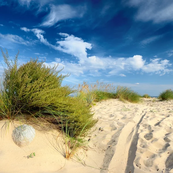 Marea Baltică plajă cu nisip — Fotografie, imagine de stoc