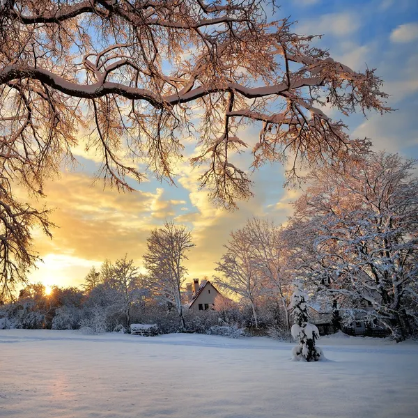 Paysage hivernal au coucher du soleil — Photo