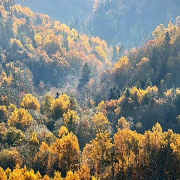 Coloridas colinas forestales en otoño . — Foto de Stock