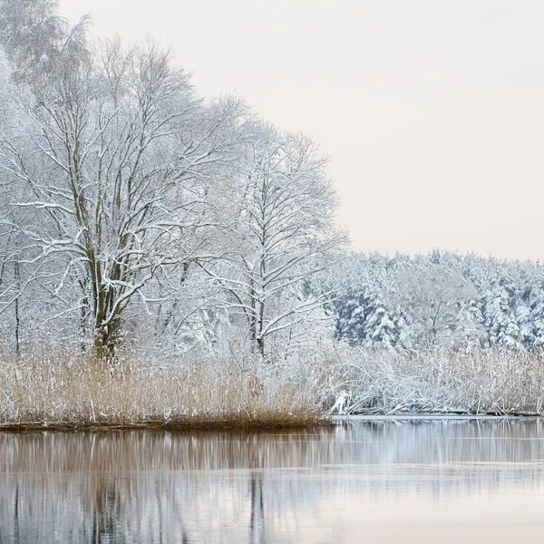 Vackra vintern lake — Stockfoto