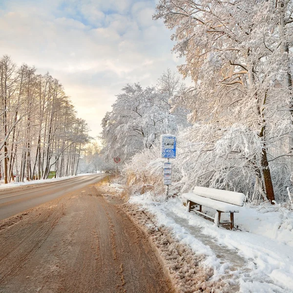 Estrada em um campo no dia de inverno ensolarado — Fotografia de Stock