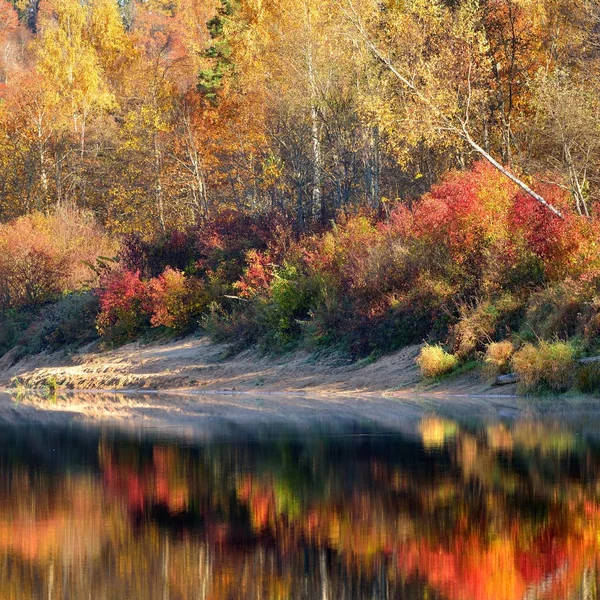 Herfst rivier gauja in sigulda — Stockfoto
