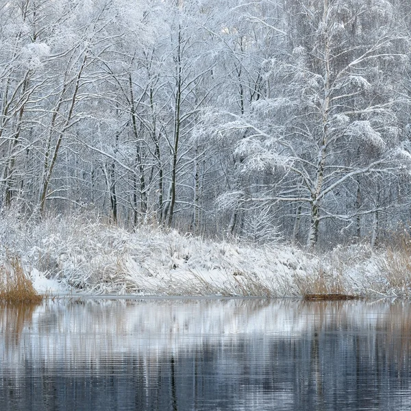 Lago de invierno hermoso —  Fotos de Stock