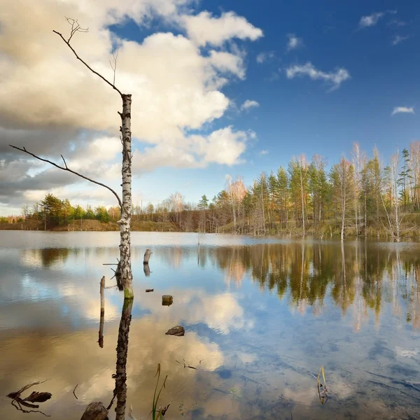 秋の湖の風景 — ストック写真