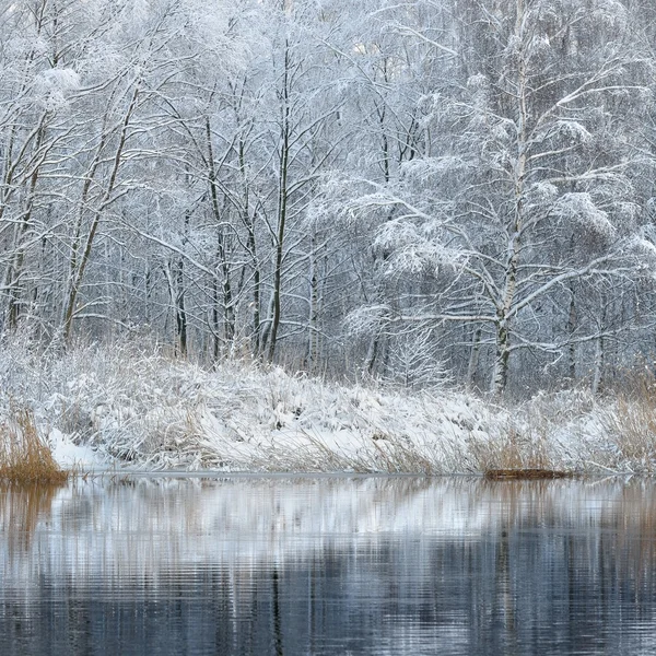 美しい冬の湖 ロイヤリティフリーのストック画像